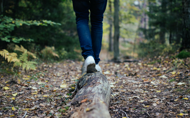 Close up image of person walking on a log in the woods